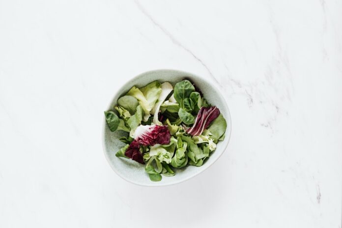plant based prehrana